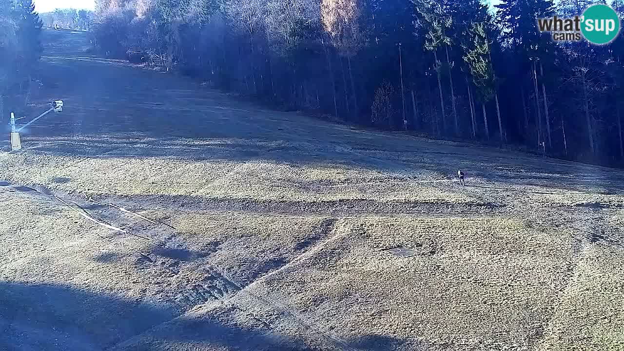 Webcam Pohorje Trikotna Jasa | Poštela