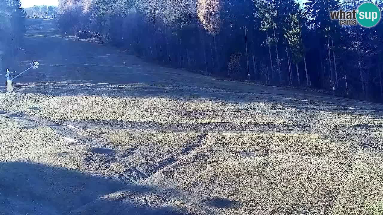 Web Camera Pohorje Trikotna Jasa | Poštela