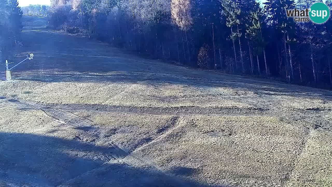 Webcam Pohorje Trikotna Jasa | Poštela