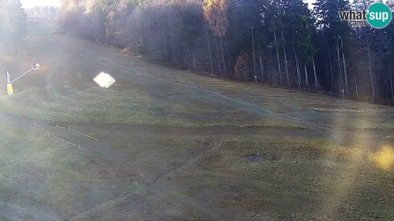 Web Camera Pohorje Trikotna Jasa | Poštela