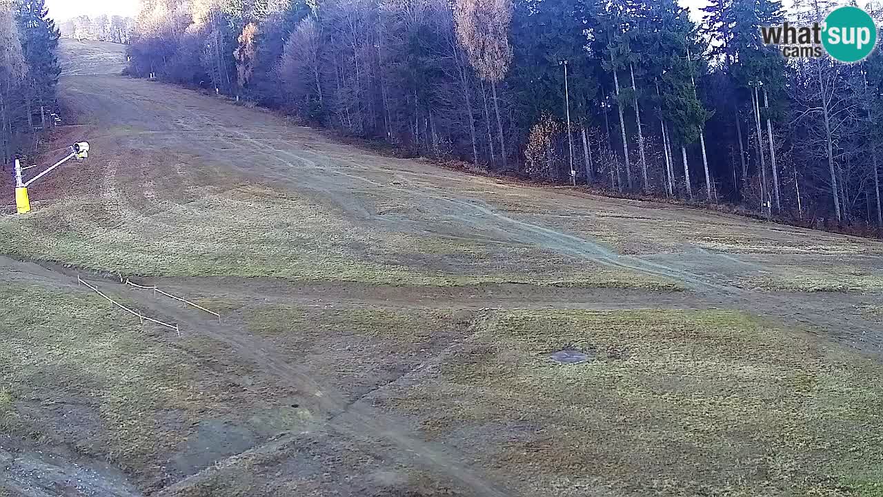 Web Camera Pohorje Trikotna Jasa | Poštela
