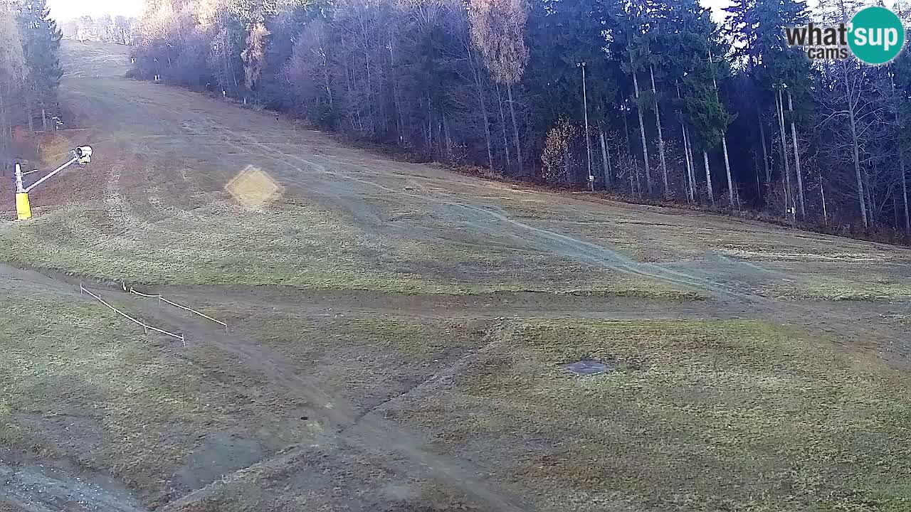 Webcam Pohorje Trikotna Jasa | Poštela