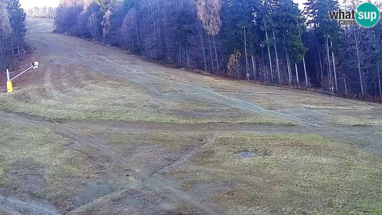 Webcam Pohorje Trikotna Jasa | Poštela