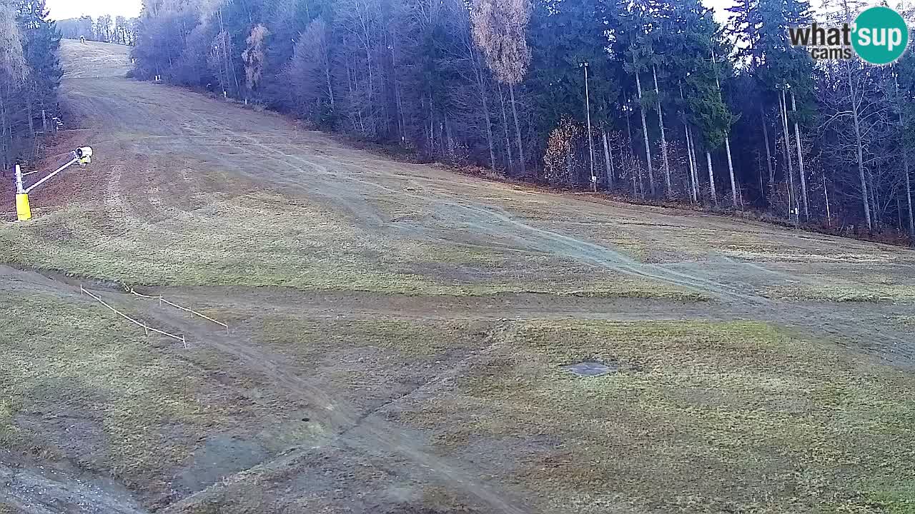 Web Camera Pohorje Trikotna Jasa | Poštela