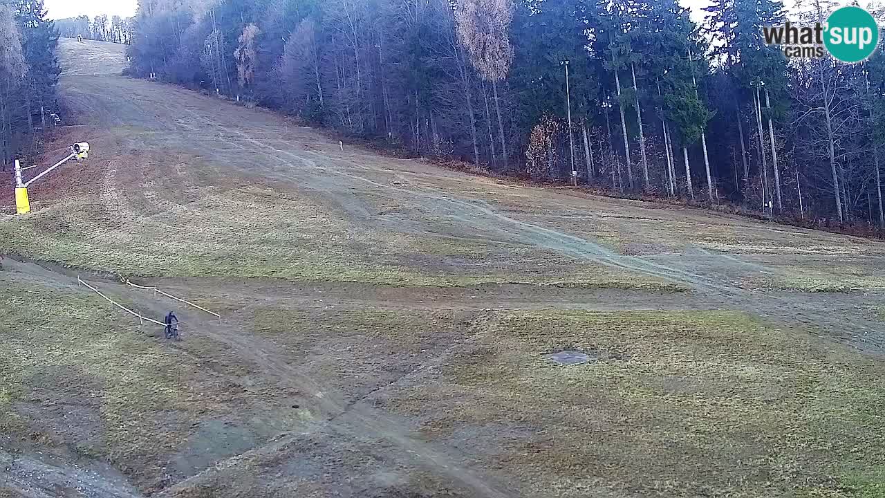 Web kamera Pohorje Trikotna Jasa | Poštela