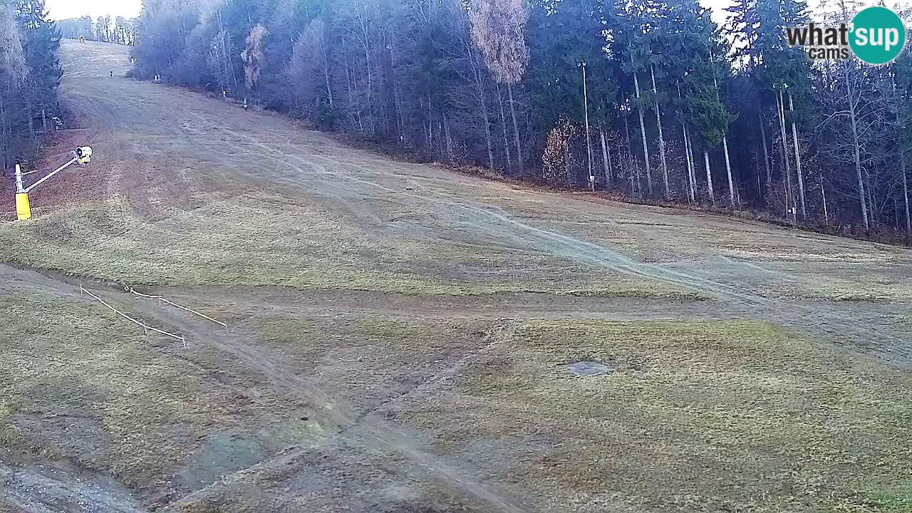 Webcam Pohorje Trikotna Jasa | Poštela
