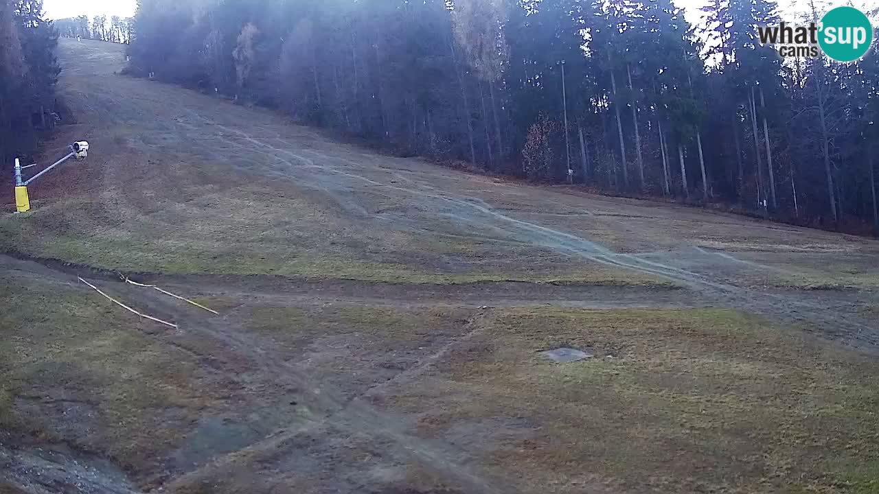 Webcam Pohorje Trikotna Jasa | Poštela