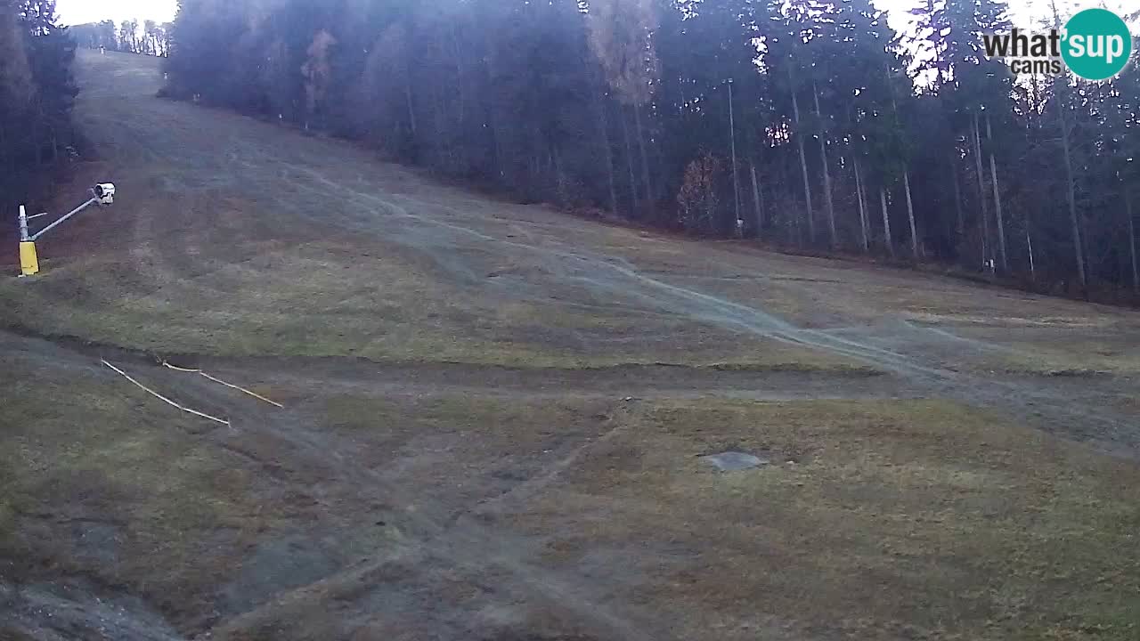 Webcam Pohorje Trikotna Jasa | Poštela