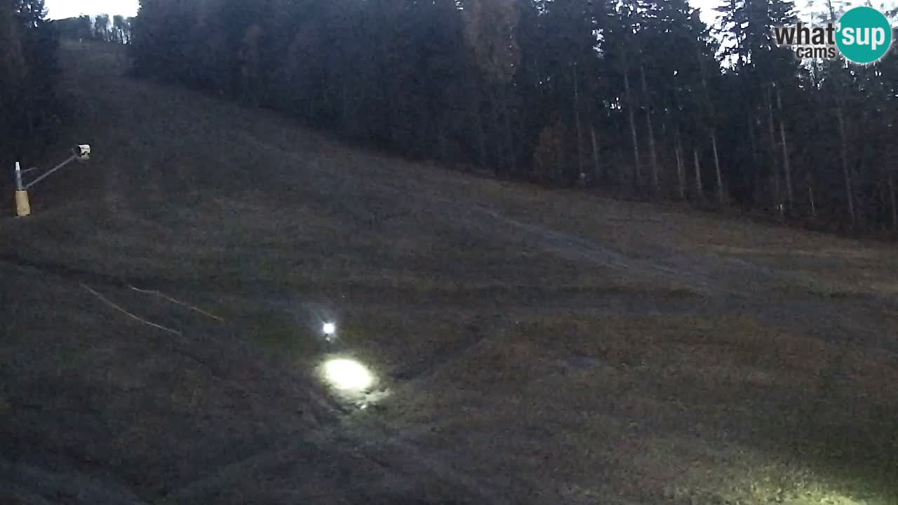 Webcam Pohorje Trikotna Jasa | Poštela