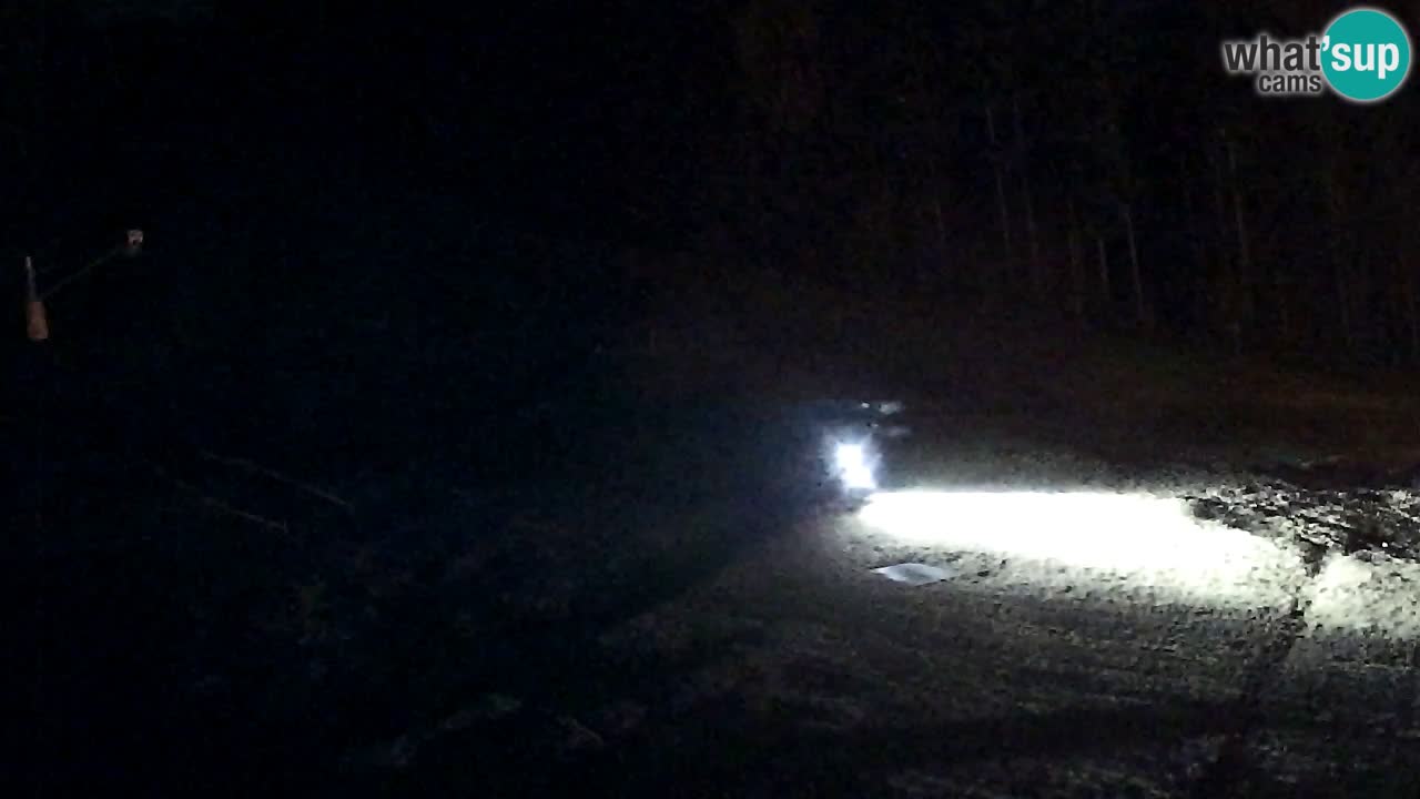 Web Camera Pohorje Trikotna Jasa | Poštela