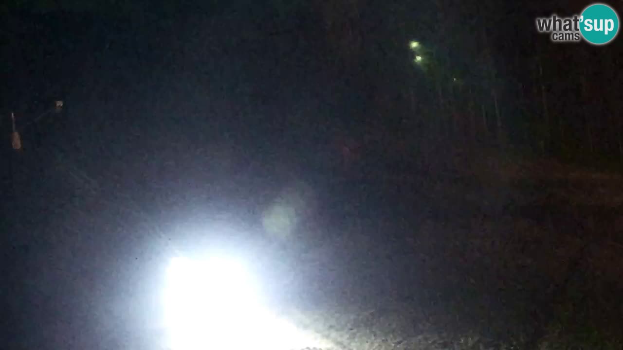 Webcam Pohorje Trikotna Jasa | Poštela