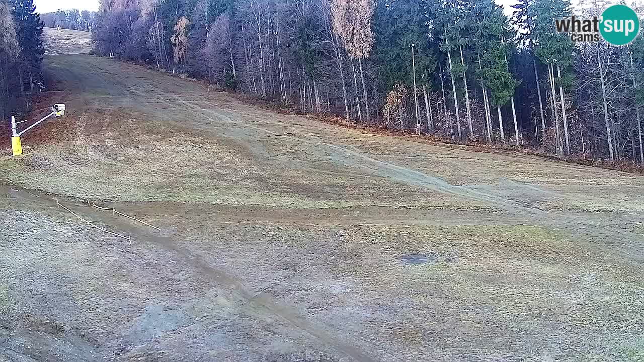 Spletna Kamera Pohorje Trikotna Jasa | Poštela