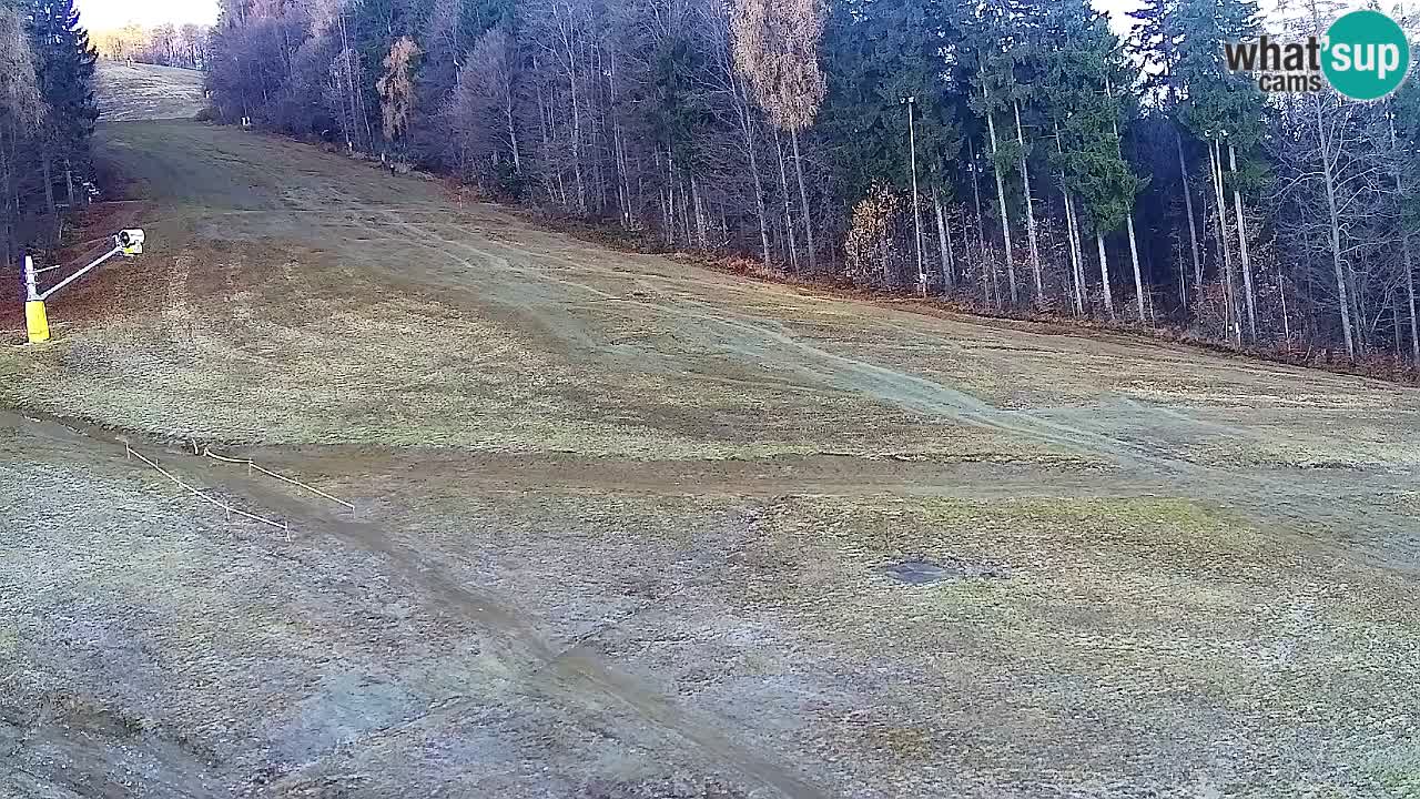 Webcam Pohorje Trikotna Jasa | Poštela