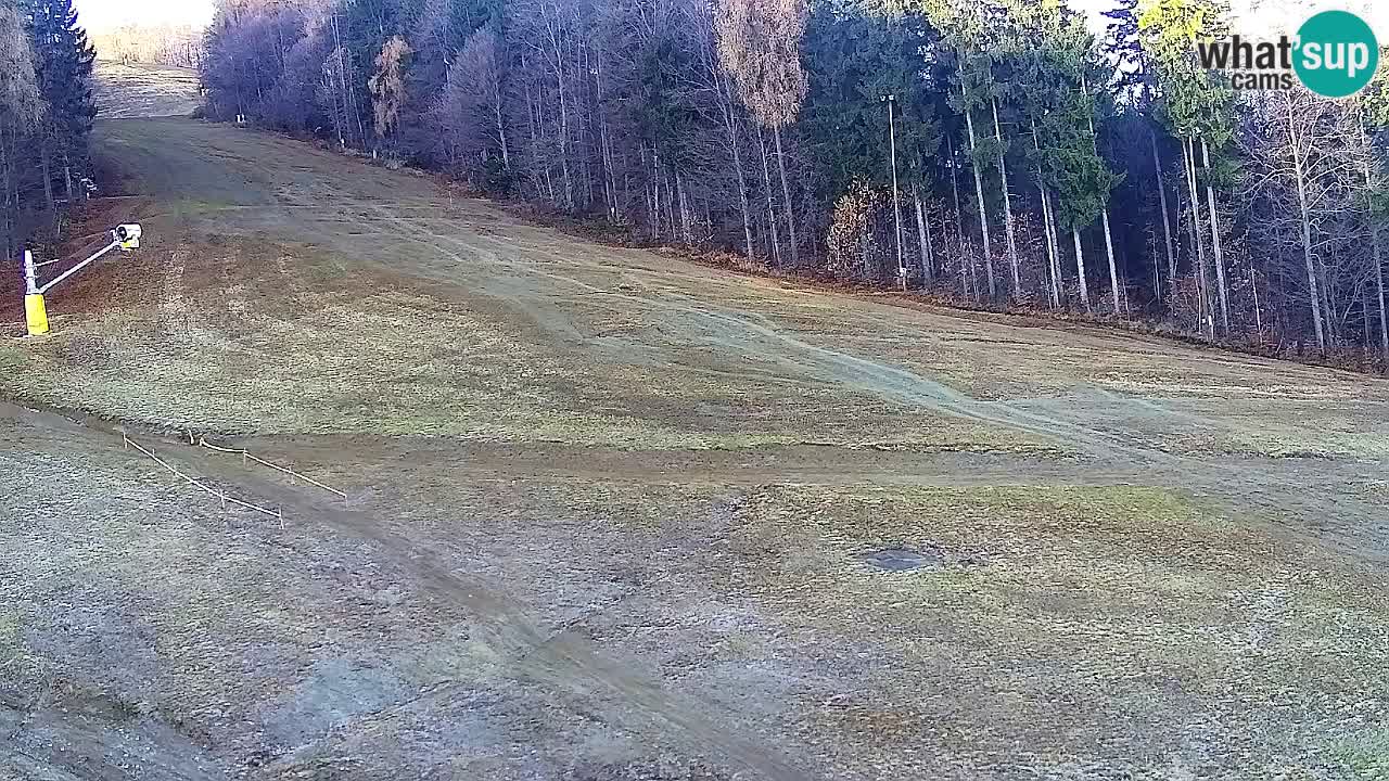 Webcam Pohorje Trikotna Jasa | Poštela