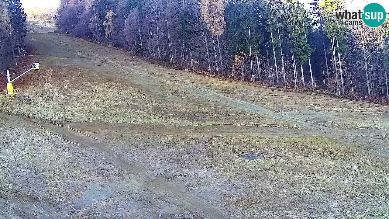 Webcam Pohorje Trikotna Jasa | Poštela