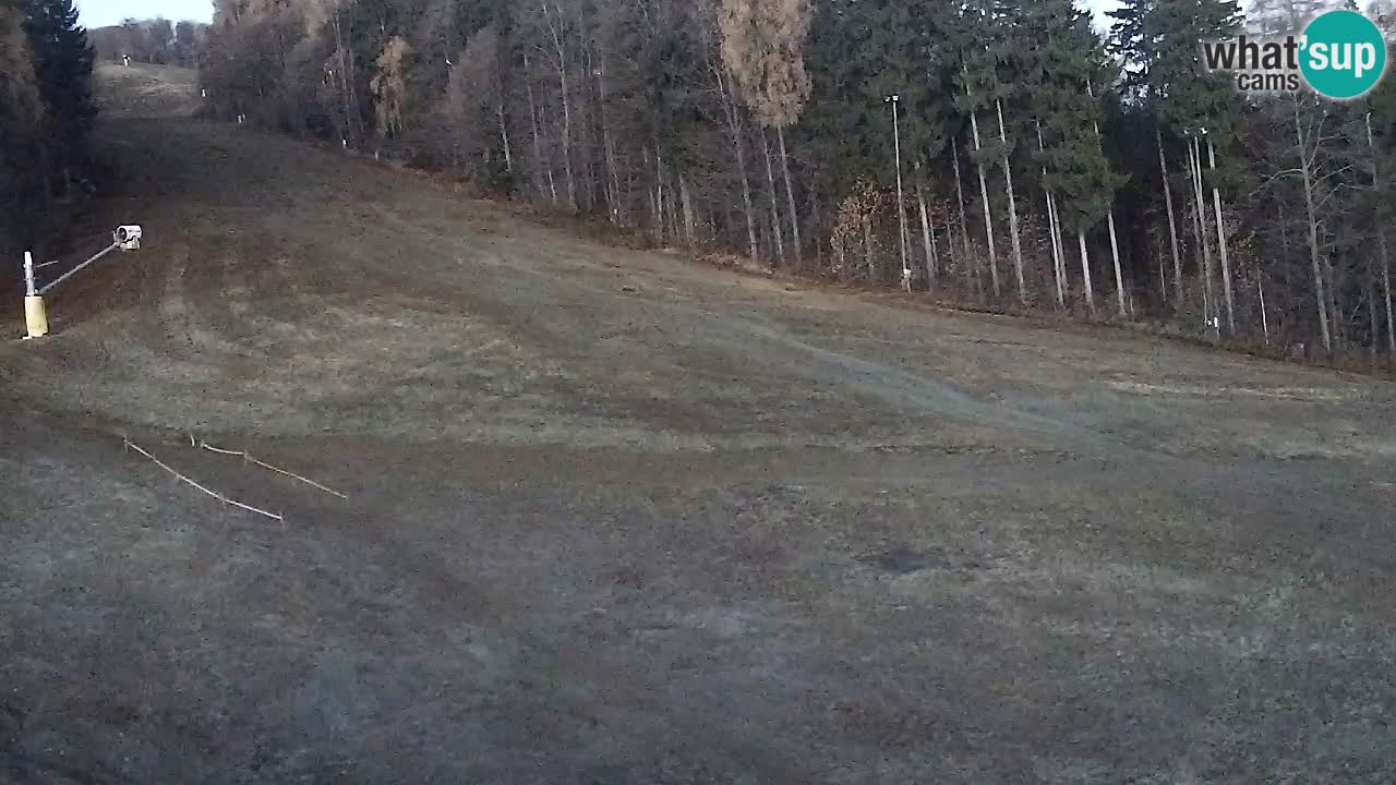 Web Camera Pohorje Trikotna Jasa | Poštela