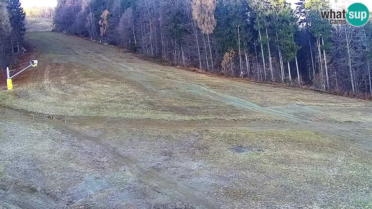 Web kamera Pohorje Trikotna Jasa | Poštela