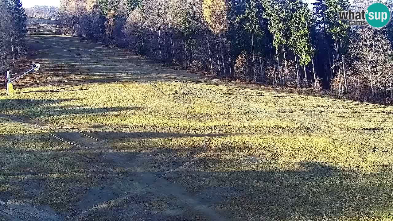 Webcam Pohorje Trikotna Jasa | Poštela