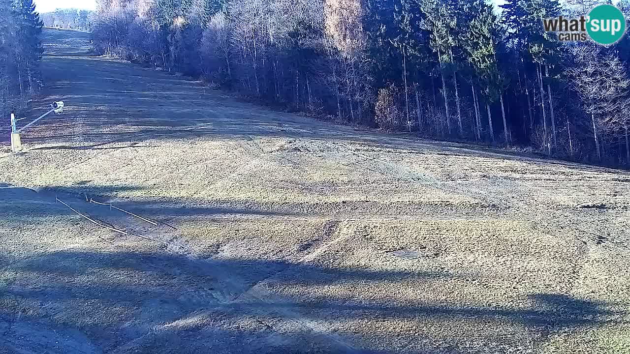 Webcam Pohorje Trikotna Jasa | Poštela