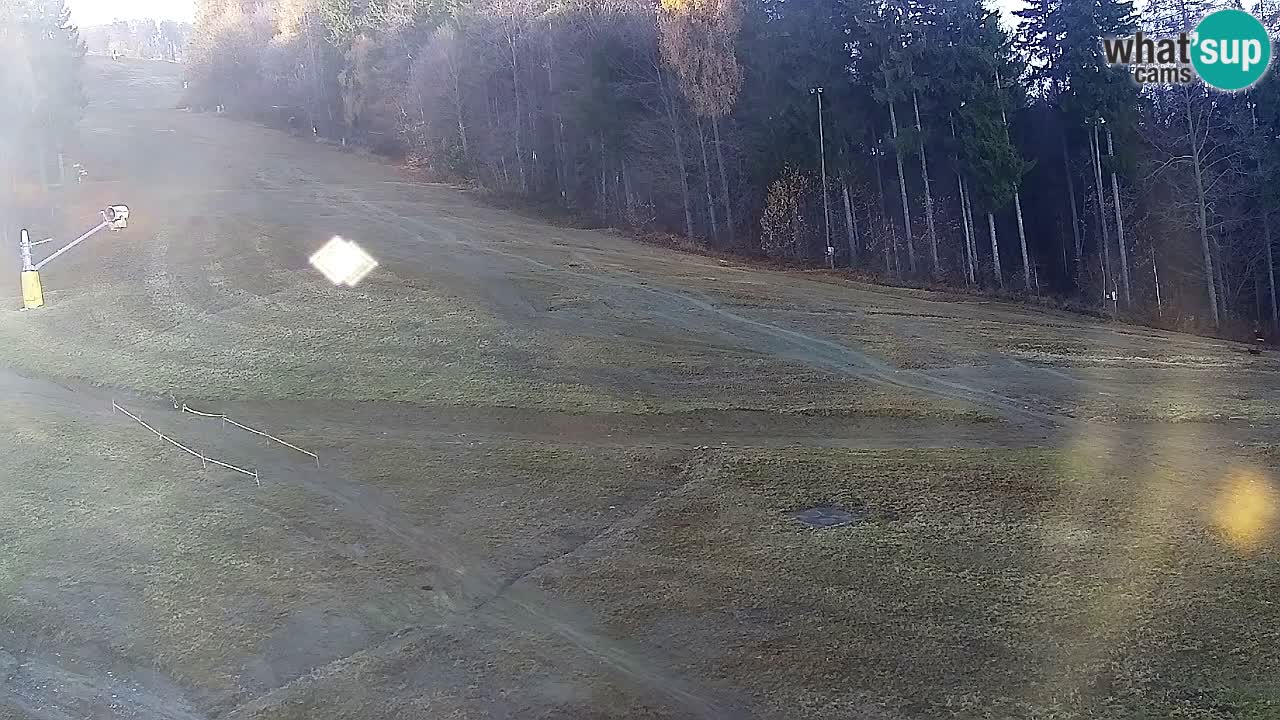 Webcam Pohorje Trikotna Jasa | Poštela