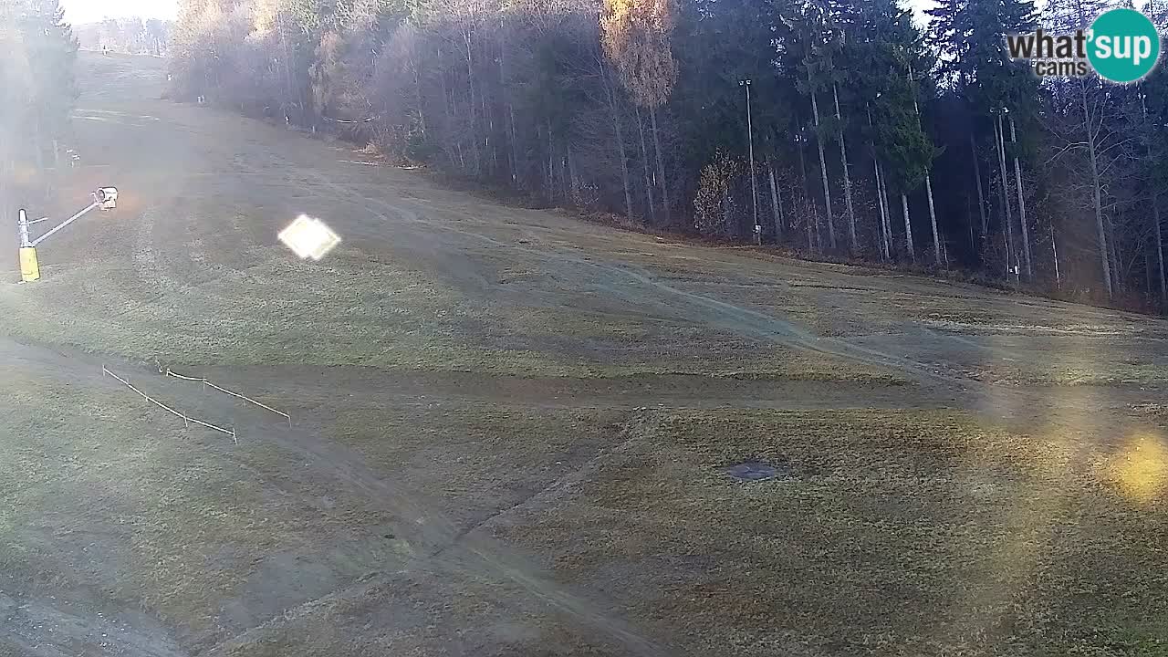 Web kamera Pohorje Trikotna Jasa | Poštela