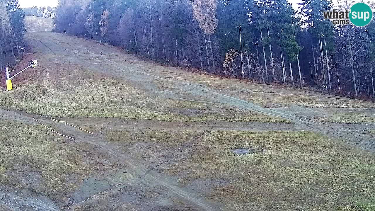 Spletna Kamera Pohorje Trikotna Jasa | Poštela