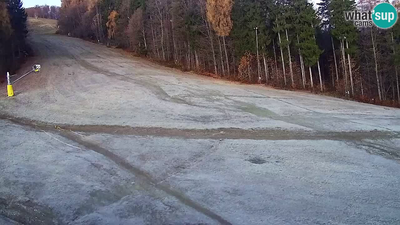 Web Camera Pohorje Trikotna Jasa | Poštela