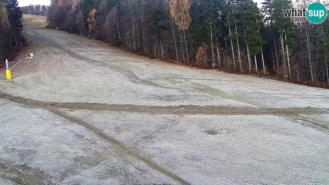 Web Camera Pohorje Trikotna Jasa | Poštela