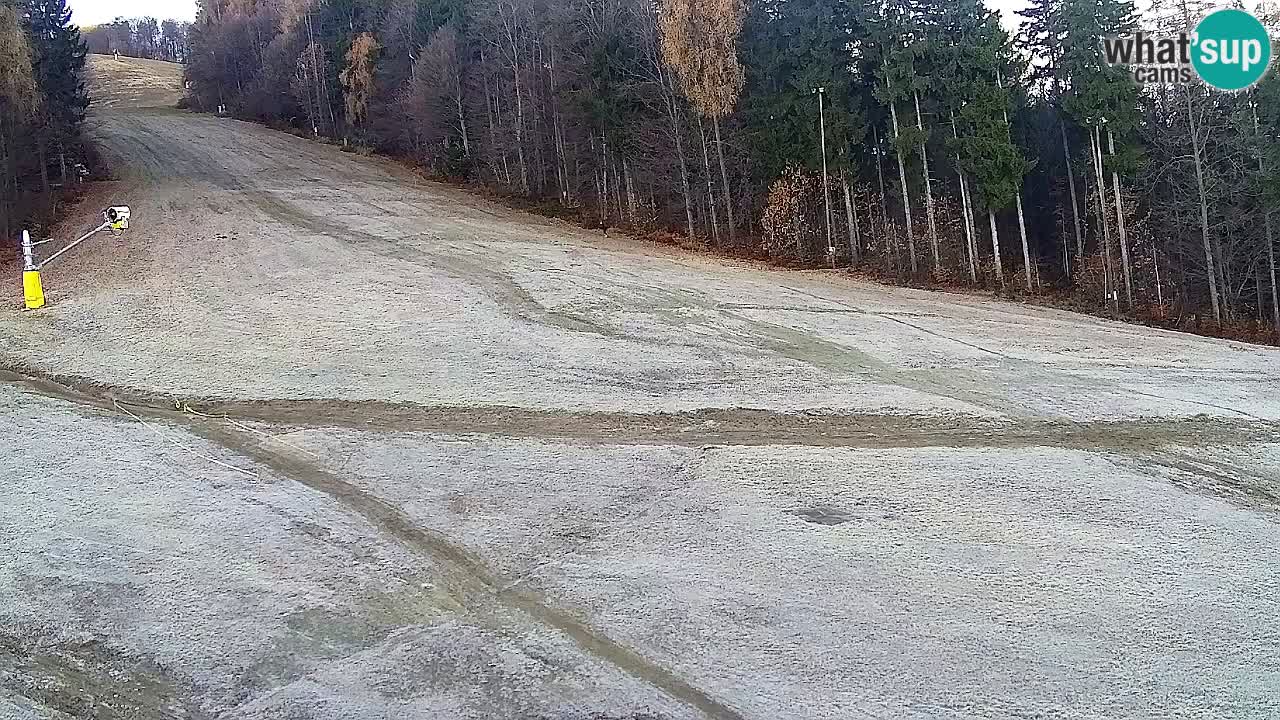 Spletna Kamera Pohorje Trikotna Jasa | Poštela