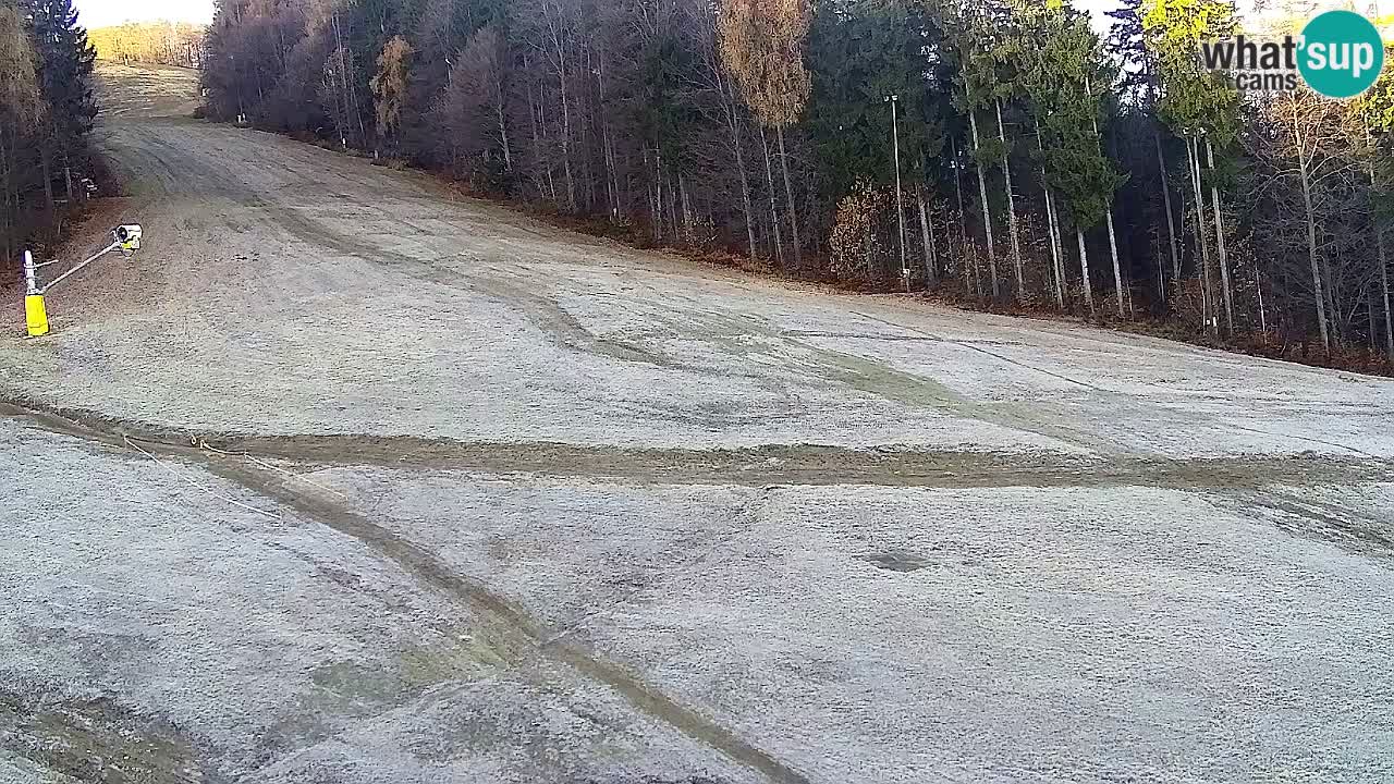 Web Camera Pohorje Trikotna Jasa | Poštela