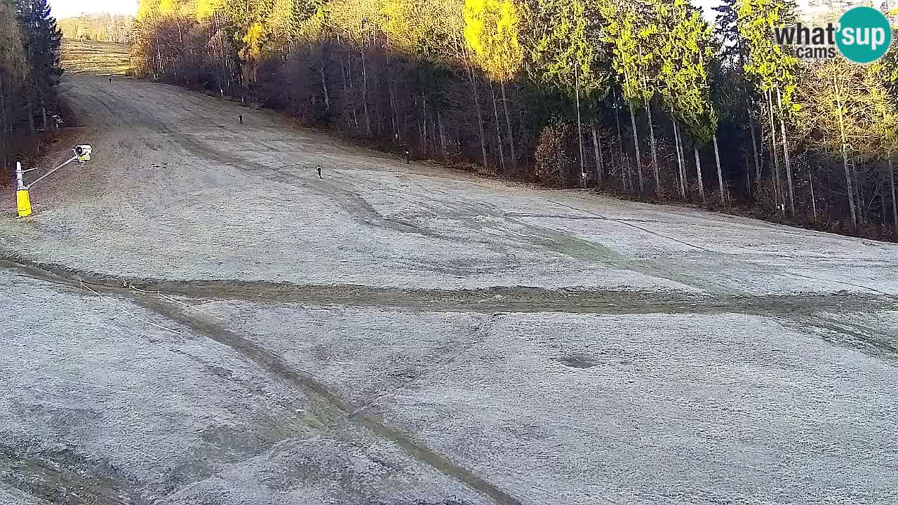 Spletna Kamera Pohorje Trikotna Jasa | Poštela