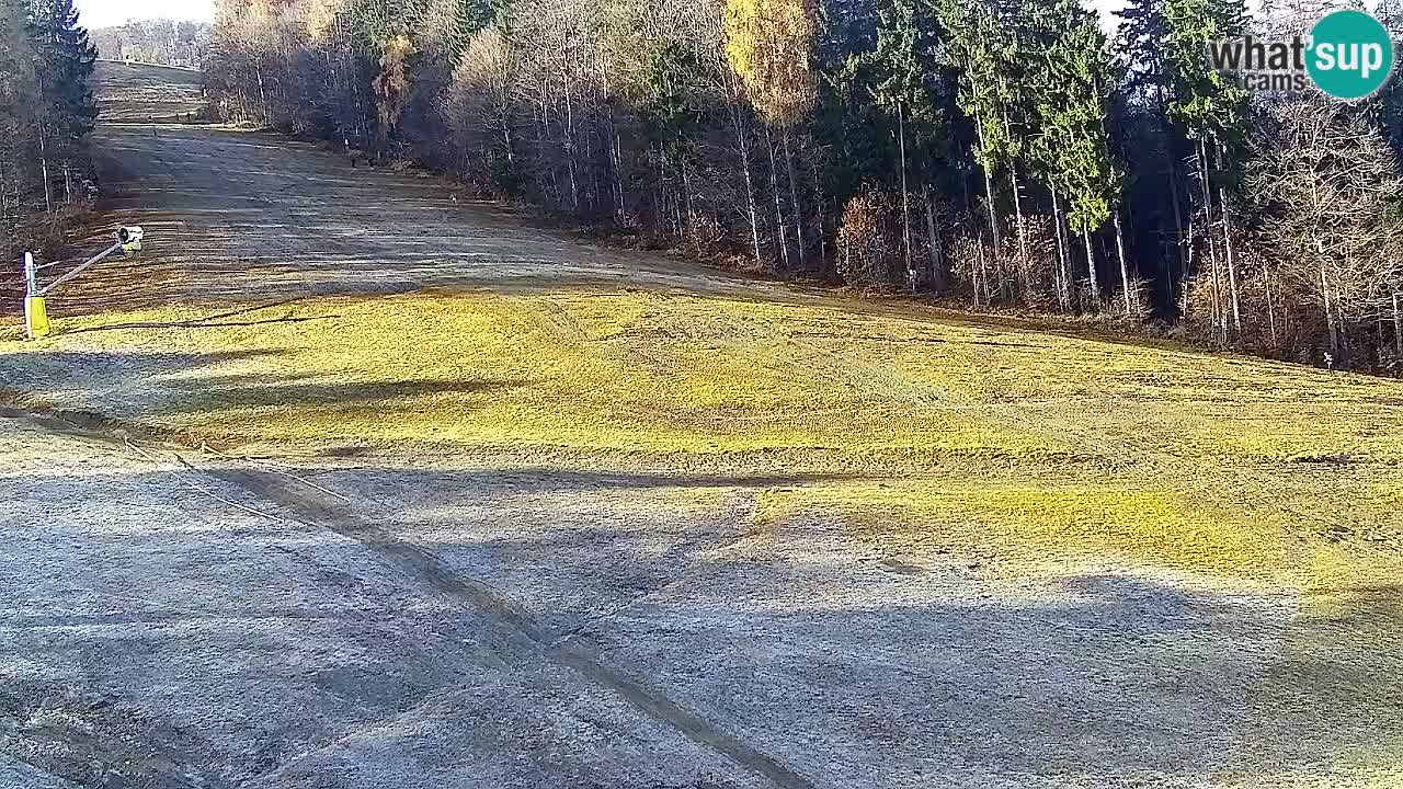 Web kamera Pohorje Trikotna Jasa | Poštela