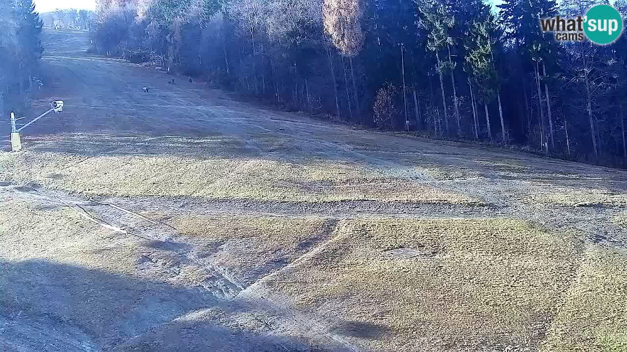 Web kamera Pohorje Trikotna Jasa | Poštela