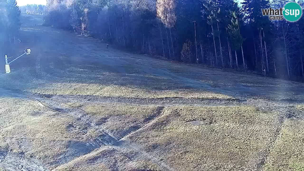 Web kamera Pohorje Trikotna Jasa | Poštela