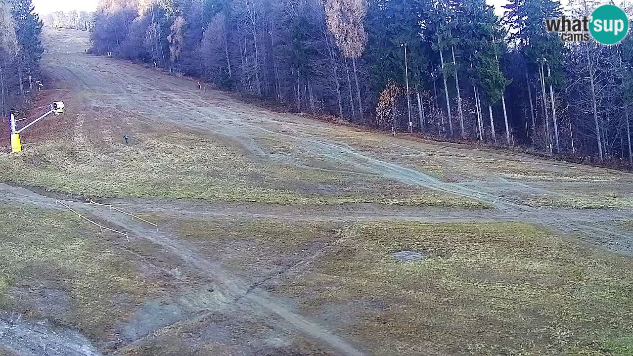 Web kamera Pohorje Trikotna Jasa | Poštela