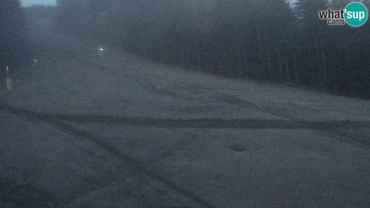 Webcam Pohorje Trikotna Jasa | Poštela