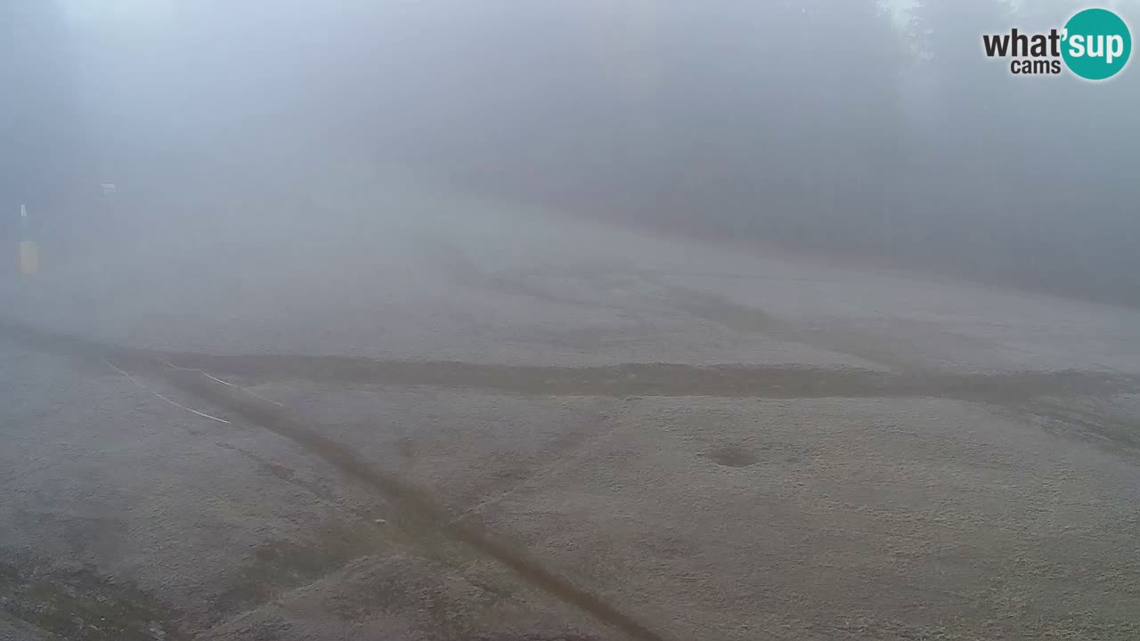 Webcam Pohorje Trikotna Jasa | Poštela