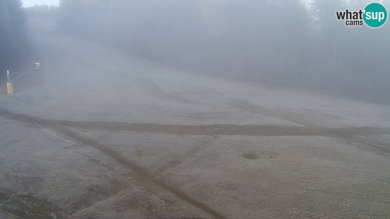 Web kamera Pohorje Trikotna Jasa | Poštela