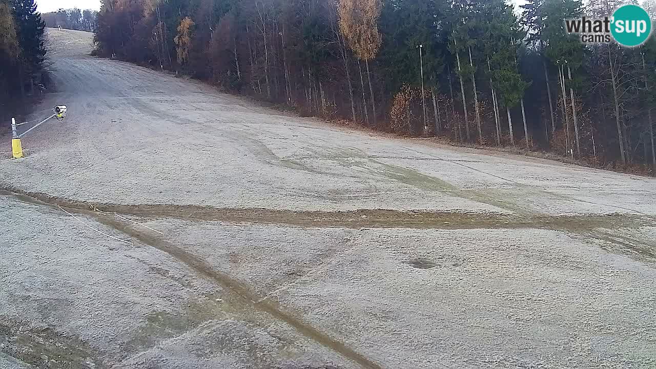 Webcam Pohorje Trikotna Jasa | Poštela