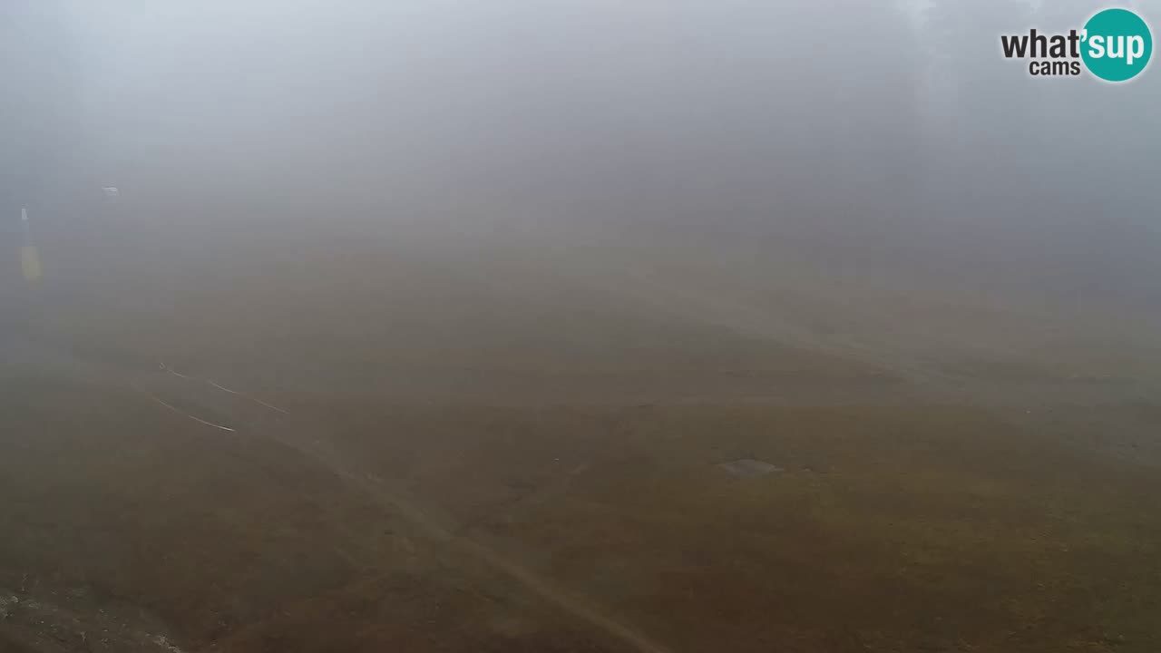 Webcam Pohorje Trikotna Jasa | Poštela