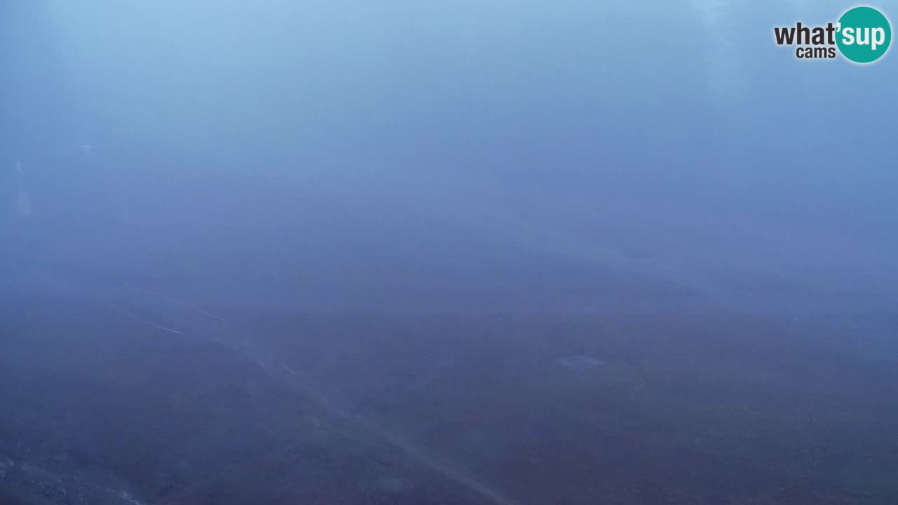 Web Camera Pohorje Trikotna Jasa | Poštela