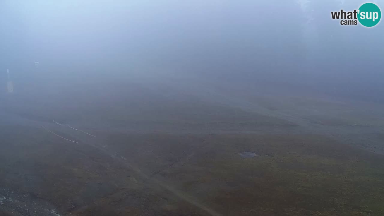 Webcam Pohorje Trikotna Jasa | Poštela