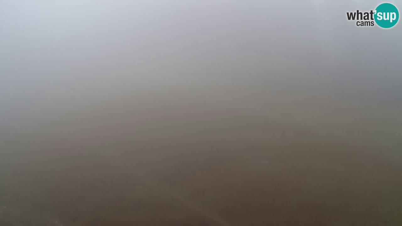 Webcam Pohorje Trikotna Jasa | Poštela