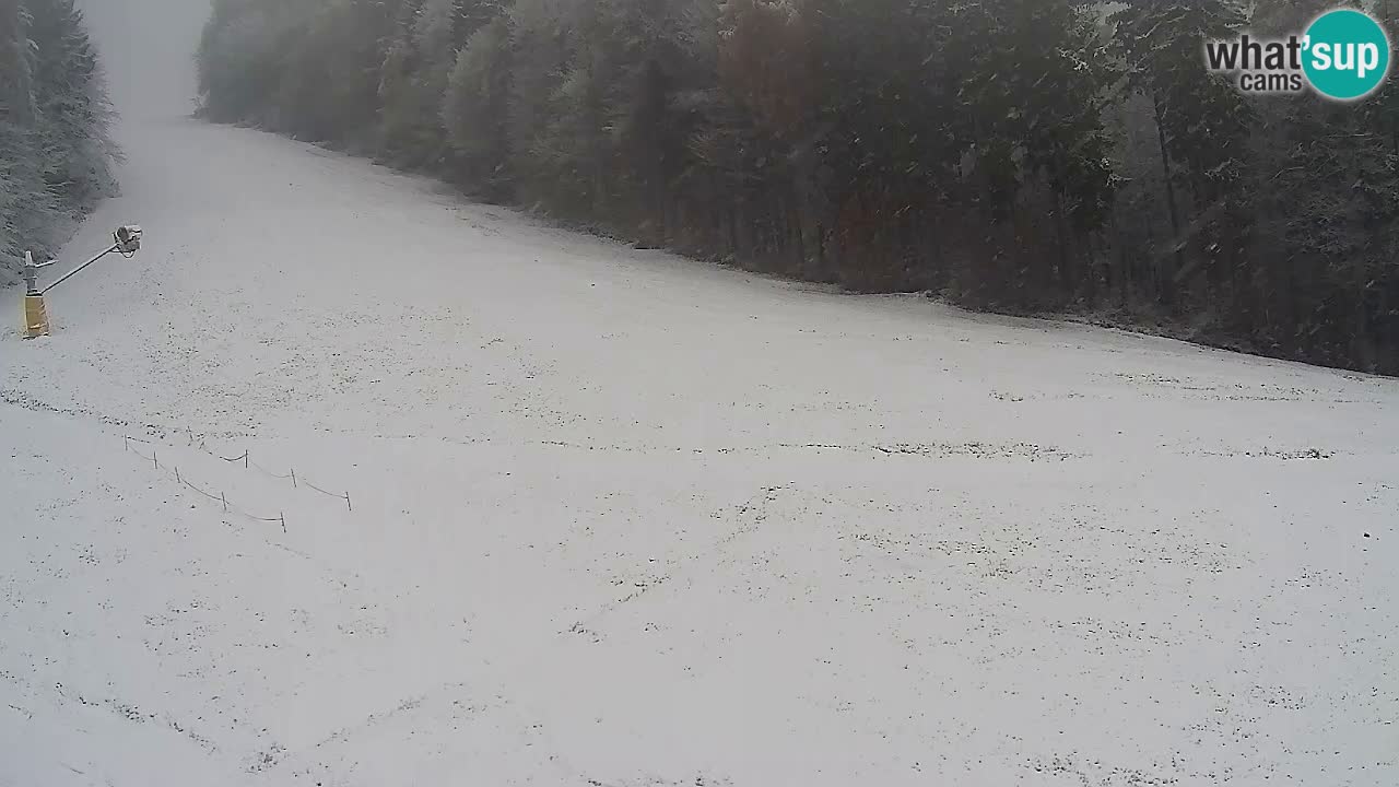 Spletna Kamera Pohorje Trikotna Jasa | Poštela