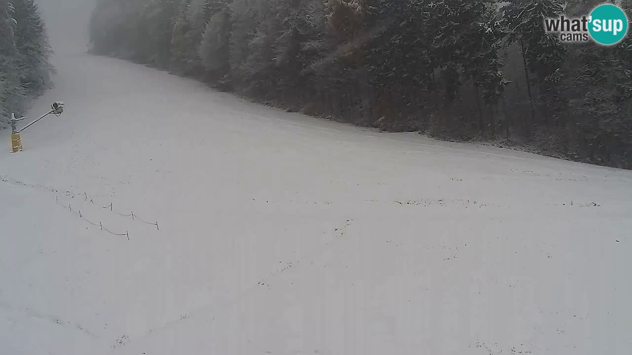 Spletna Kamera Pohorje Trikotna Jasa | Poštela