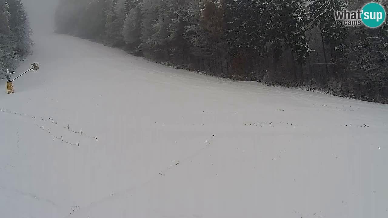 Webcam Pohorje Trikotna Jasa | Poštela