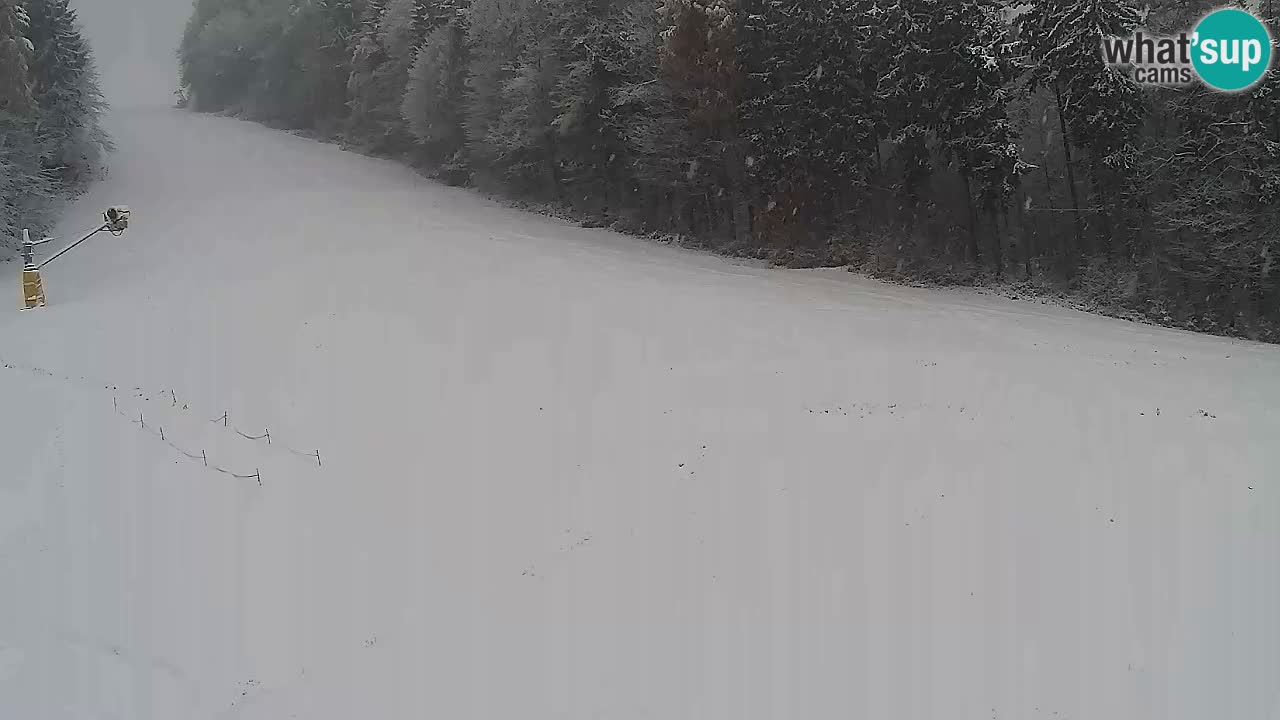 Webcam Pohorje Trikotna Jasa | Poštela