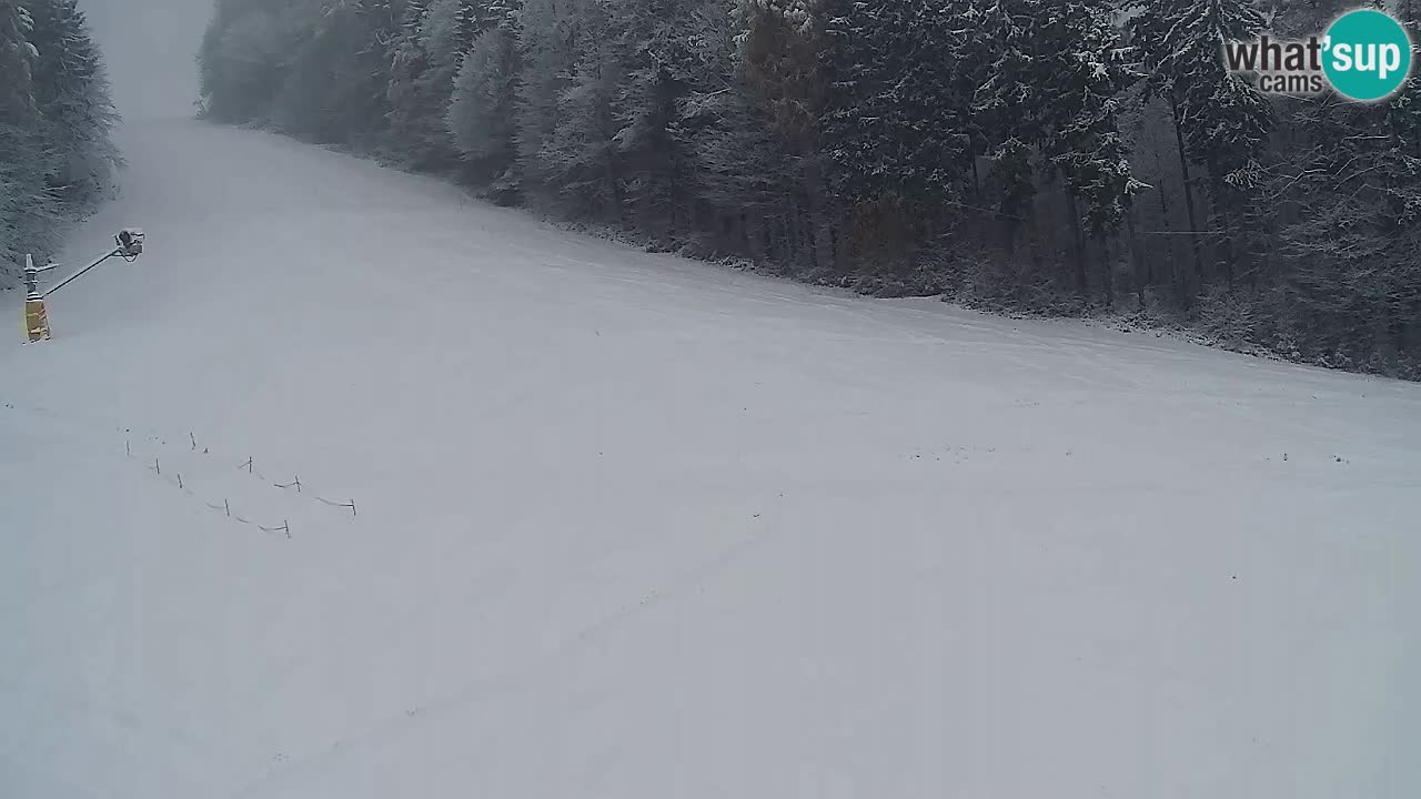 Webcam Pohorje Trikotna Jasa | Poštela