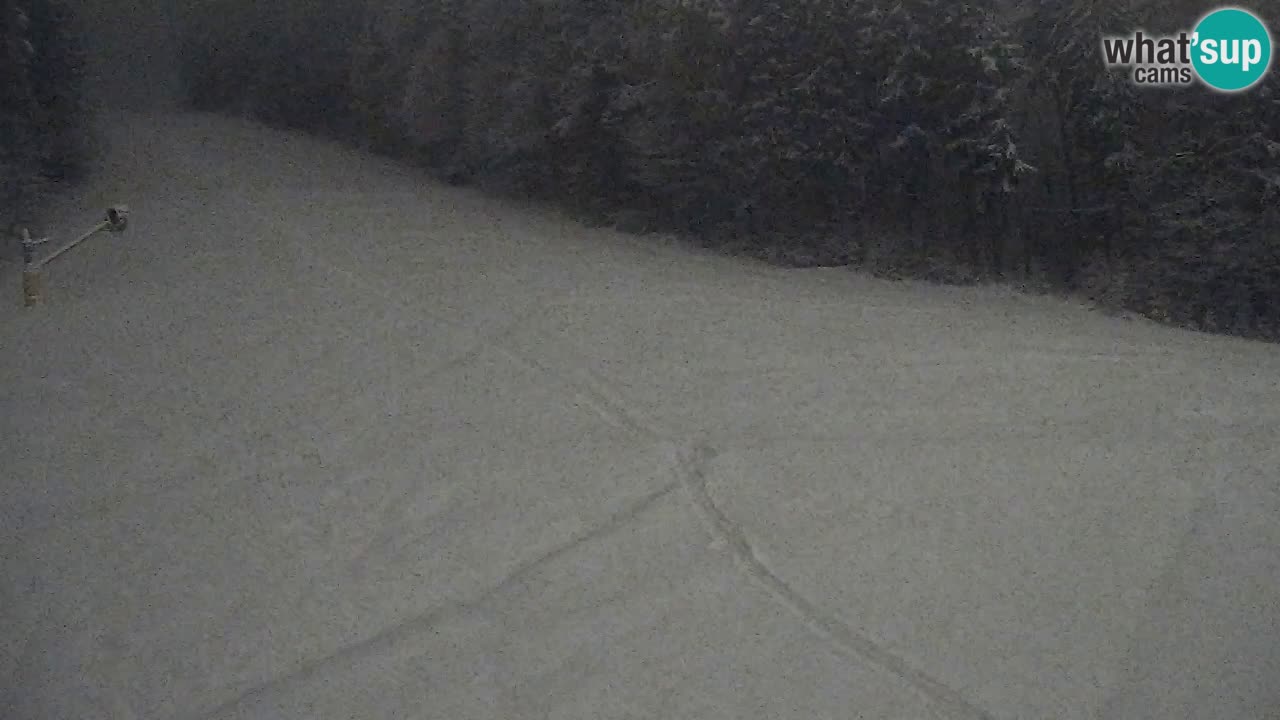 Webcam Pohorje Trikotna Jasa | Poštela