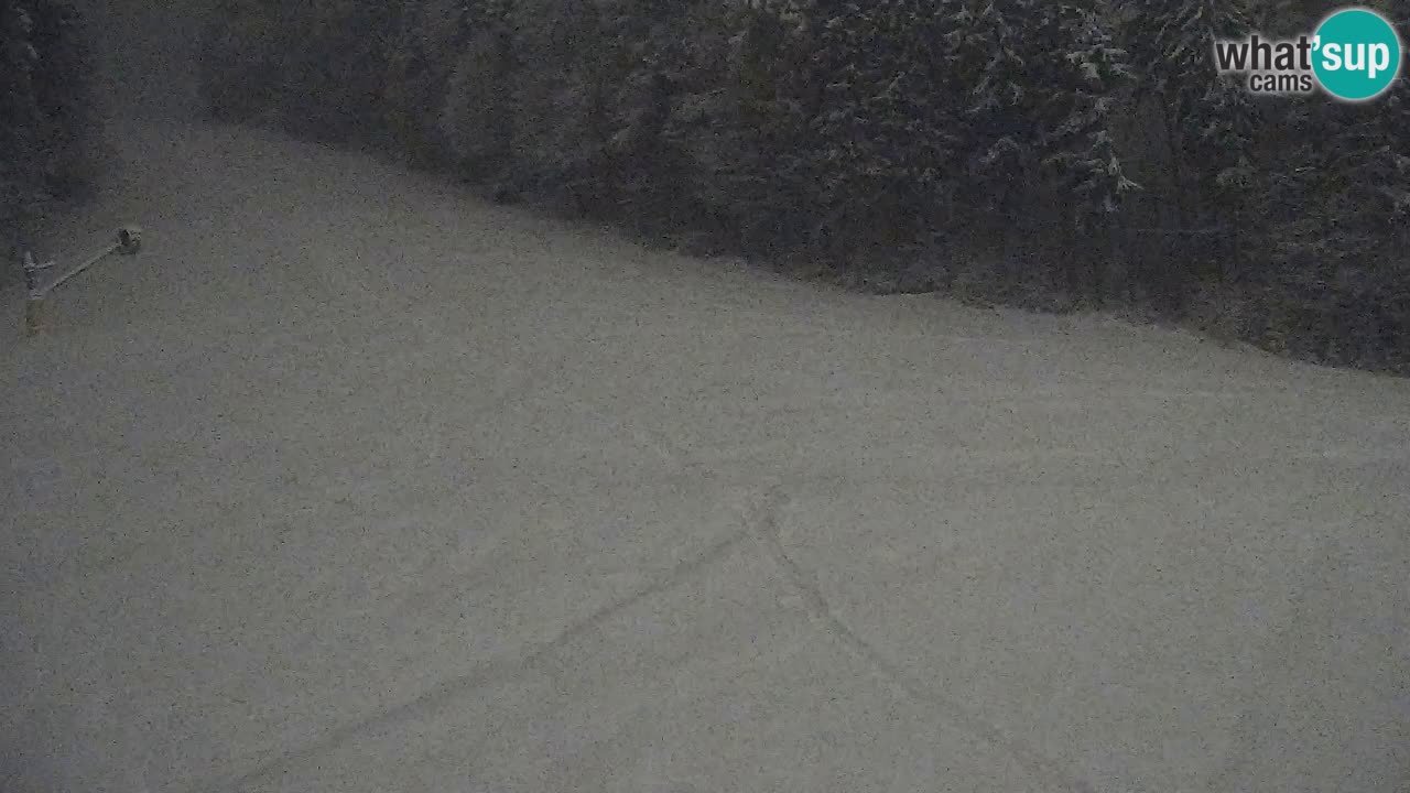 Webcam Pohorje Trikotna Jasa | Poštela